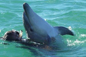 Sometimes he does not want you to get back to the boat